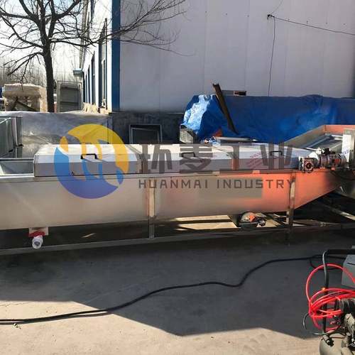 桑芽菜加工设备 蔬菜定色杀青机漂烫机 桑芽菜翻浪清洗设备厂家