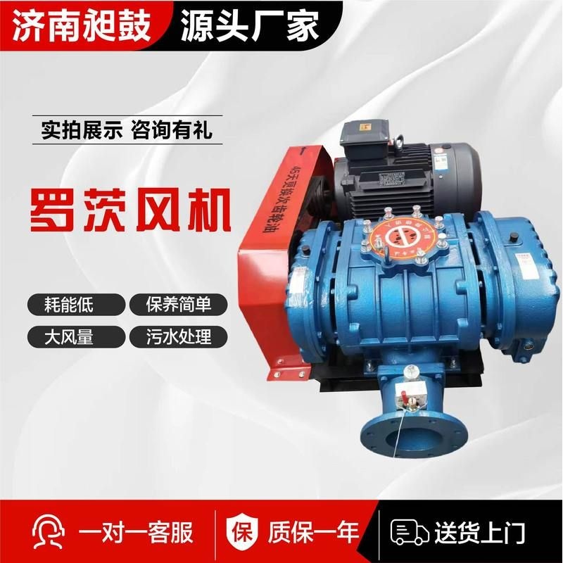 罗茨风机厂家现货鱼塘增氧污水处理大功率水产养殖用罗茨风机