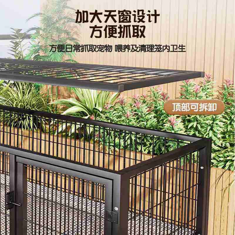 户外鸡笼芦丁鸡饲养专用鸭子室外神器自动捕收集小鸡箱鸽鸽子笼蛋,畜牧/养殖物资,养殖笼具/鸡笼/兔笼/鸽笼,淘宝优惠券,粉丝福利购,淘宝优惠卷