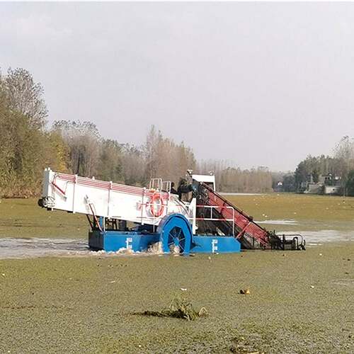 大型割草船自动除草设备 河道水草打捞船 湖泊清理芦苇收割除草船