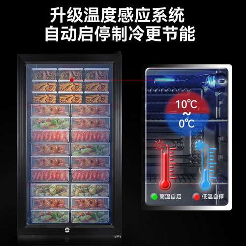 喜莱盛食品留样柜商用展示柜冷藏食堂保鲜柜办公室小冰箱酒店客房