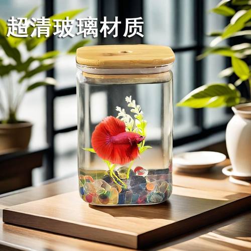 泰斗专用小鱼缸办公桌面迷你小型玻璃斗鱼盒带盖微景观方形玻璃瓶
