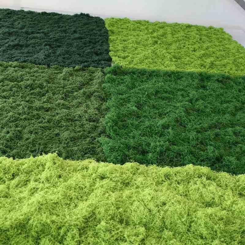 仿真丝状苔藓草坪假青苔景观藓盆景布置仿真加厚盆栽铺面草坪羊毛,鲜花速递/花卉仿真/绿植园艺,土壤覆盖物,淘宝优惠券,粉丝福利购,淘宝优惠卷