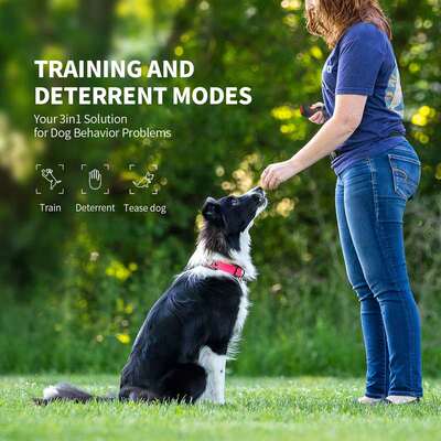 LED便携式声波变频跨境爆闪狗吠款狗止制止训外贸充电猫神器