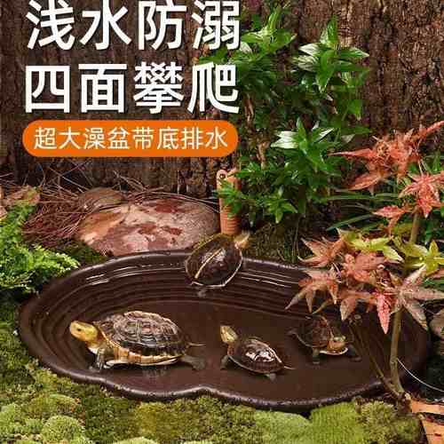 全阶梯乌龟泡澡盆黄缘龟洗澡盆养殖箱造景盆陆龟半水龟安缘洗澡盆