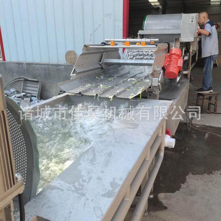 果蔬清洗设备不锈钢土豆丝食堂自动洗菜机净菜涡流气泡清洗机