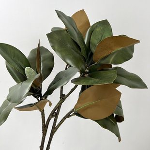 工厂直销仿真玉兰花苞仿真叶子玉兰绿色批发配仿真仿真植物叶材树