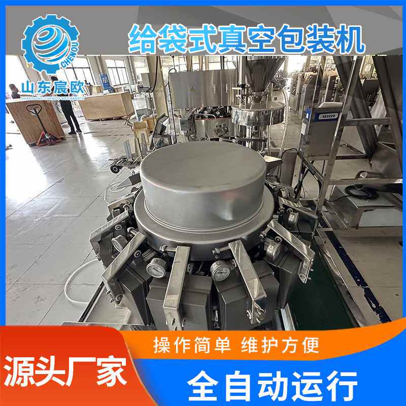 全自动姜片包装机 海参生蚝包装设备 宸欧给袋式玉米真空包装机