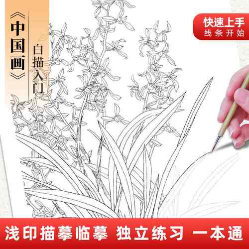 精选中国画白描入门描摹本 花卉动物山水人物套装