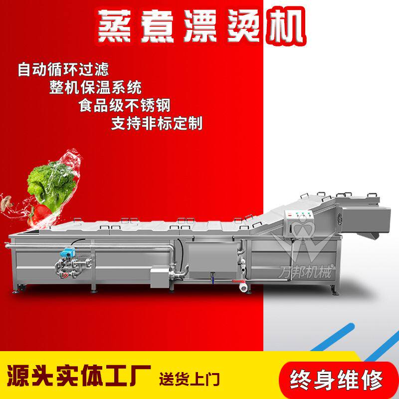 厂家生产供应蔬菜连续式漂烫机 蒸煮漂烫机流水线 山野菜漂烫机