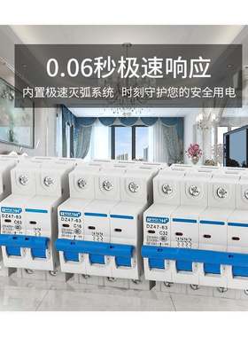 DZ47-63小型断路器空开3pC45断路器空气漏电开关6A-63A家用开关