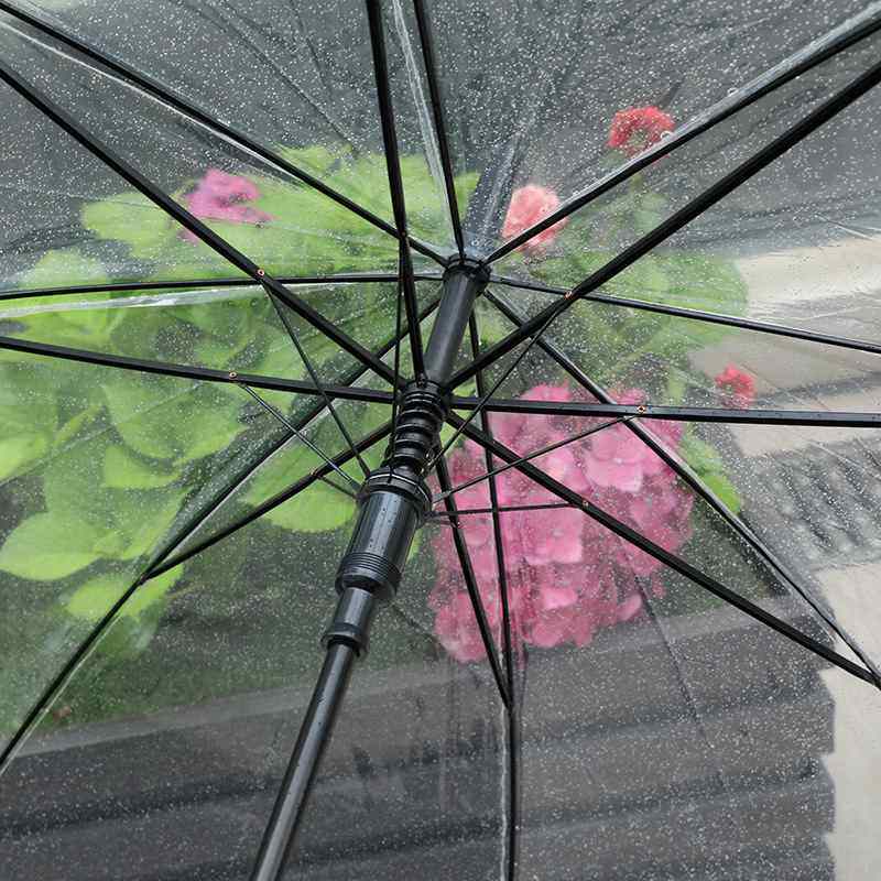 小清新8骨加厚透明自动伞学生直杆森广告伞POE长柄礼品系雨伞,居家日用,伞帽,淘宝优惠券,粉丝福利购,淘宝优惠卷