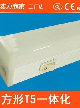 T5灯管一体化LED带开关日光灯管带开关塑全生产线灯12VT8LED0.3M