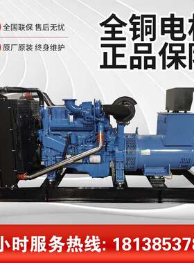 玉柴250KW柴油发电机  YC6MK420L-D20发动机 革睿电力全铜发电机