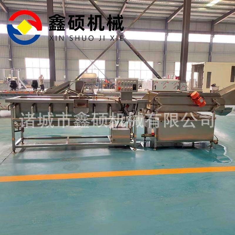 全自动涡流清洗机 速冻香菇丁清洗沥水机 净菜芹菜段涡流清洗机