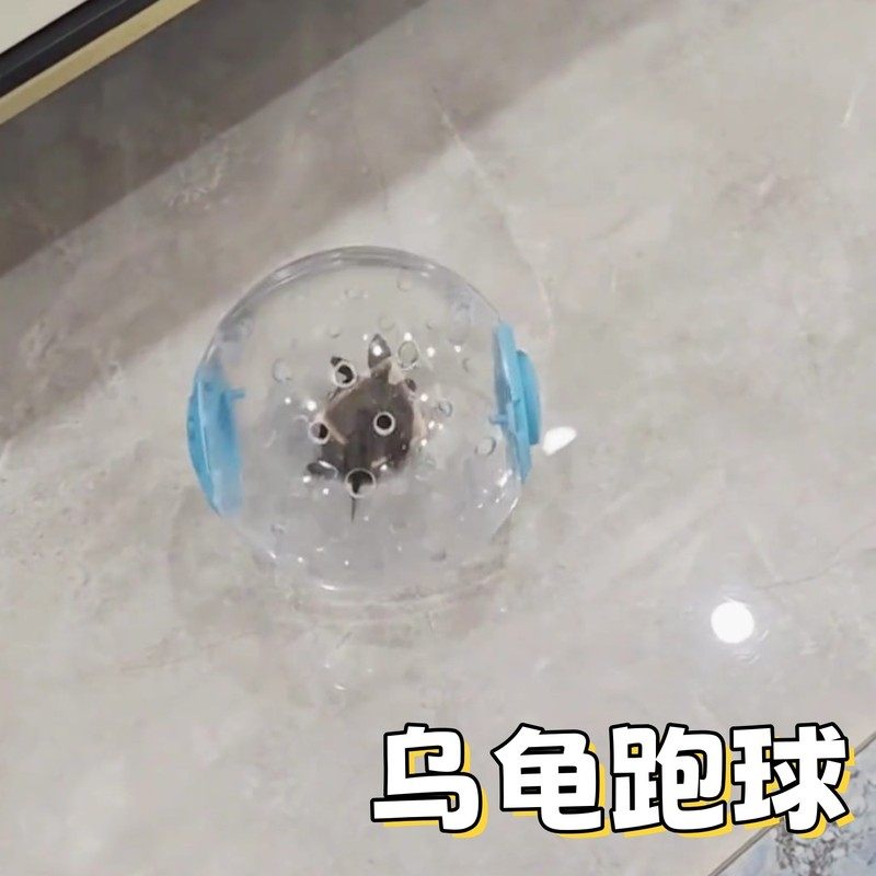 乌龟专用玩具仓鼠跑球跑轮滚轮运动球支架松鼠用品遛鼠跑步球滚球