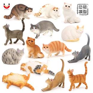 新品 仿真实心静态动物模型家猫黄猫黑白波斯猫宠物猫儿童认知玩