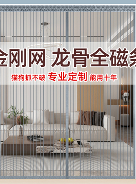 金刚网魔术贴门帘2024新款高档定制纱门磁吸条纱窗强力自吸免打孔