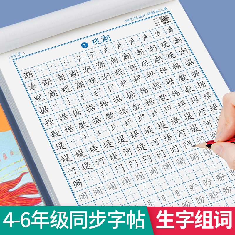 小学生 练字 六年级 同步 钢笔 语文 专用