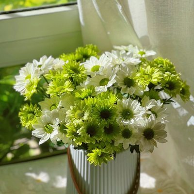 现采现发高品质好养护花期长