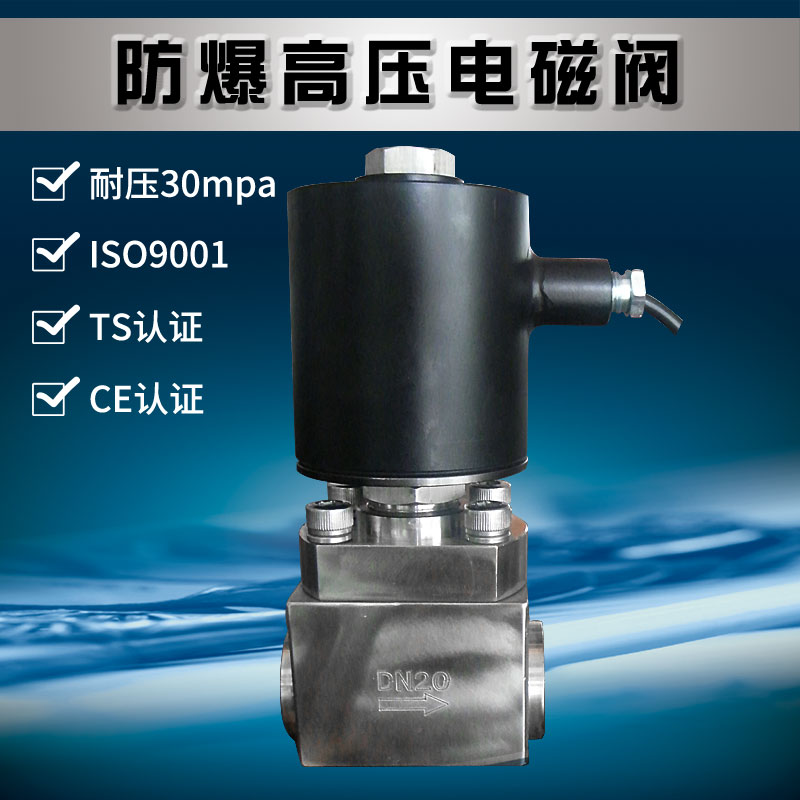 25mpa24v工业隔爆型高压电磁阀