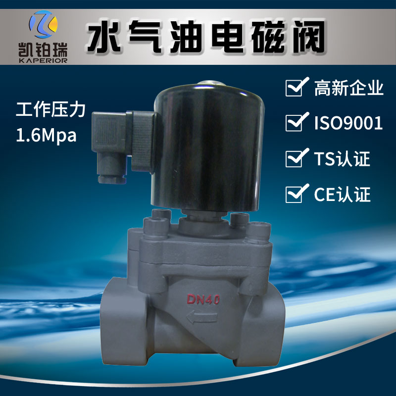 工业管道内螺纹铸钢电磁阀二位二通先导活塞式电磁控制阀DN25 50