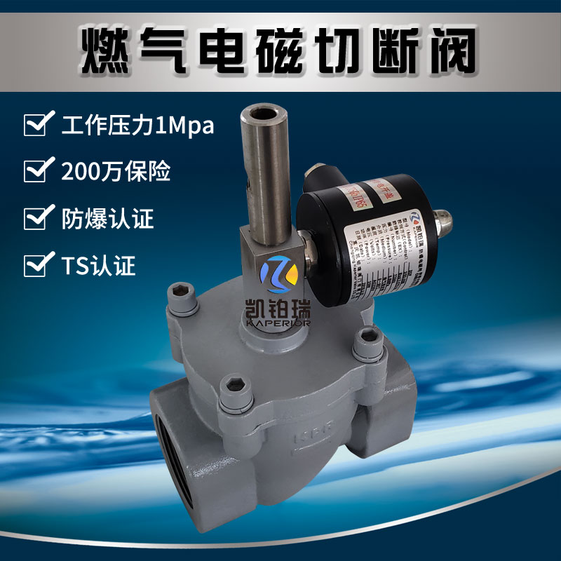 工业商用电磁式紧急切断阀 煤气锅炉房燃气漏气报警器自动关断阀