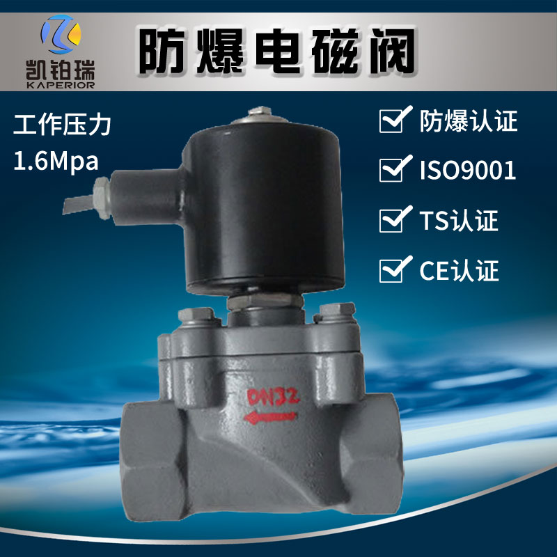 ZCS铸钢防爆电磁阀水用 电磁开关控制阀 DN25 32 40 50 220V 24V