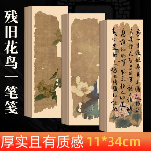 新款微喷小楷书法创作书画纸7-8分熟古风信笺书法纸残片花鸟一笔笺半生半熟不洇