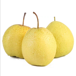 河北正宗赵县雪花梨新鲜水果礼盒装冰糖羊脂梨子大果9斤当季整箱