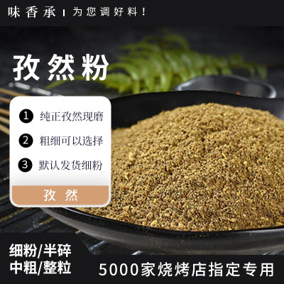 正宗新疆纯孜然粉500g烤肉羊肉串