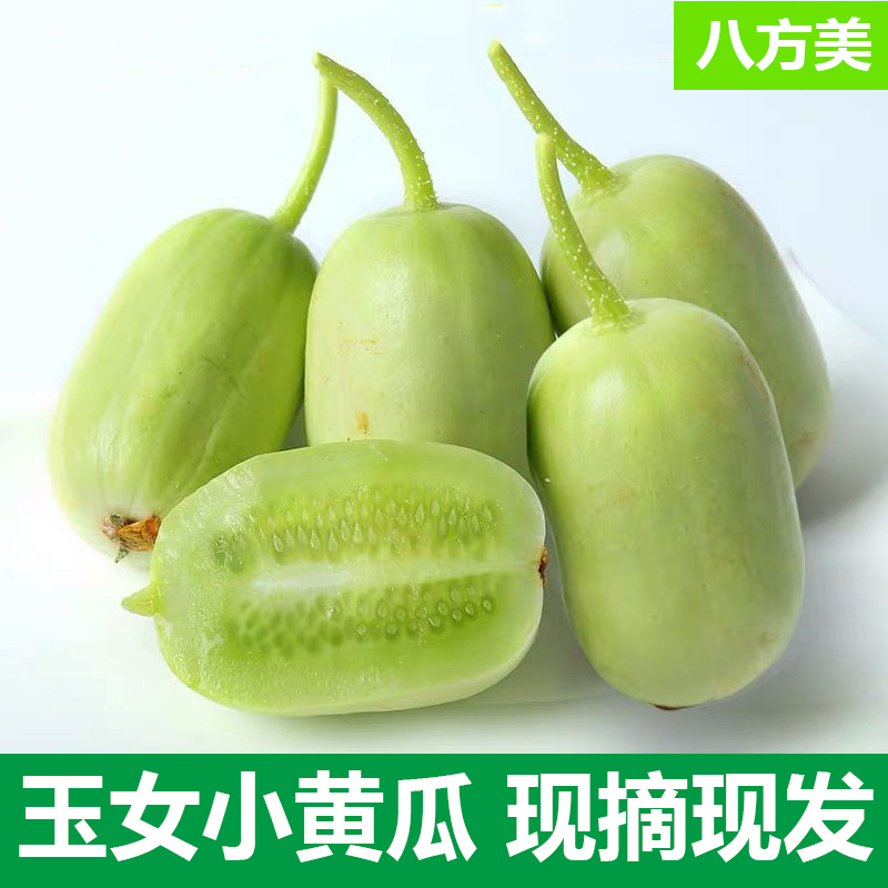 玉女小黃瓜 新鮮黃瓜鮮嫩清甜爽口 孕婦生吃蔬菜現摘_八方美旗艦店_水產肉類/新鮮蔬果/熟食