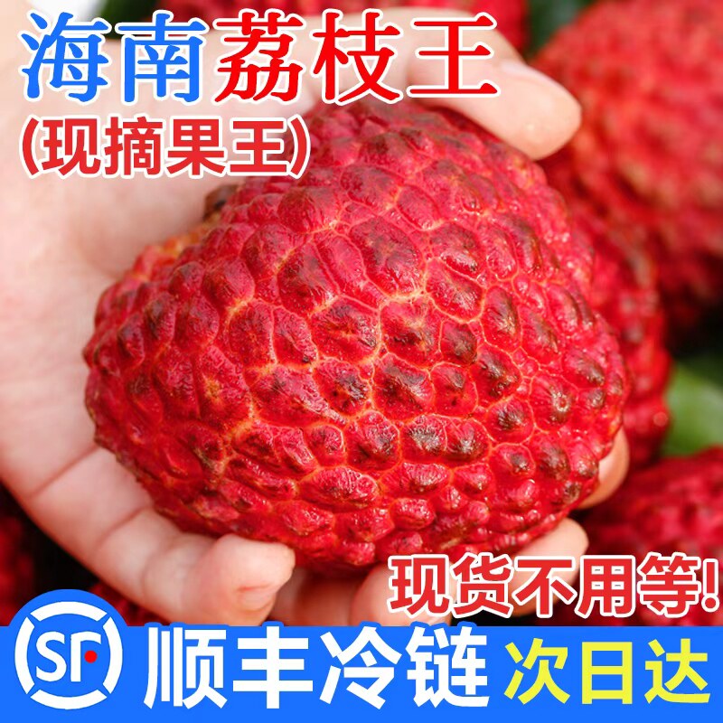 海南火山岩荔枝王新鲜现摘现发水果礼盒巨大无霸荔枝批发顺丰包邮