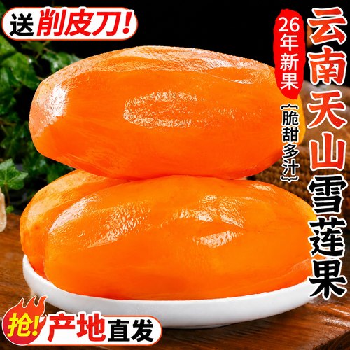 【亏本冲量】雪莲果限时疯抢中