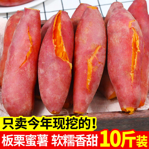板栗蜜薯10斤新鲜红薯农家自种