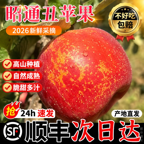 【顺丰次日达】昭通丑苹果