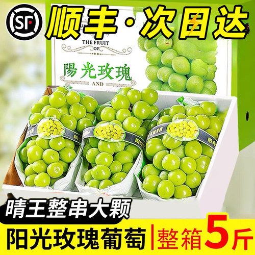 次日达礼盒装！阳光玫瑰大颗粒！