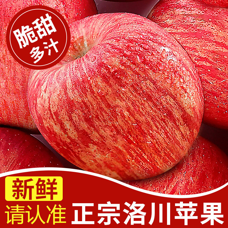【5A品质】正宗洛川苹果10斤大果