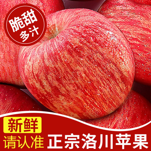 【5A品质】正宗洛川苹果10斤大果