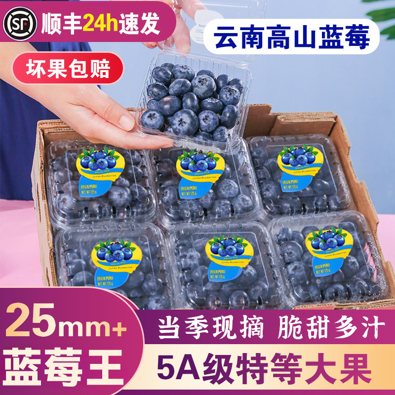 云南蓝莓鲜果怡颗花香蓝莓新鲜水果特超大果当季整箱顺丰礼盒L25