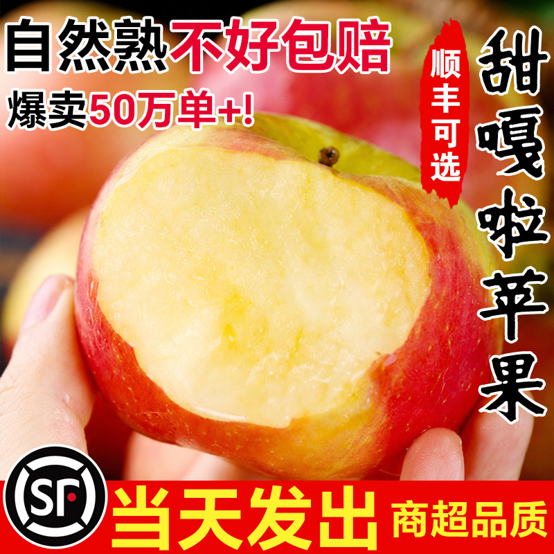 【官方力荐】正宗嘎啦苹果