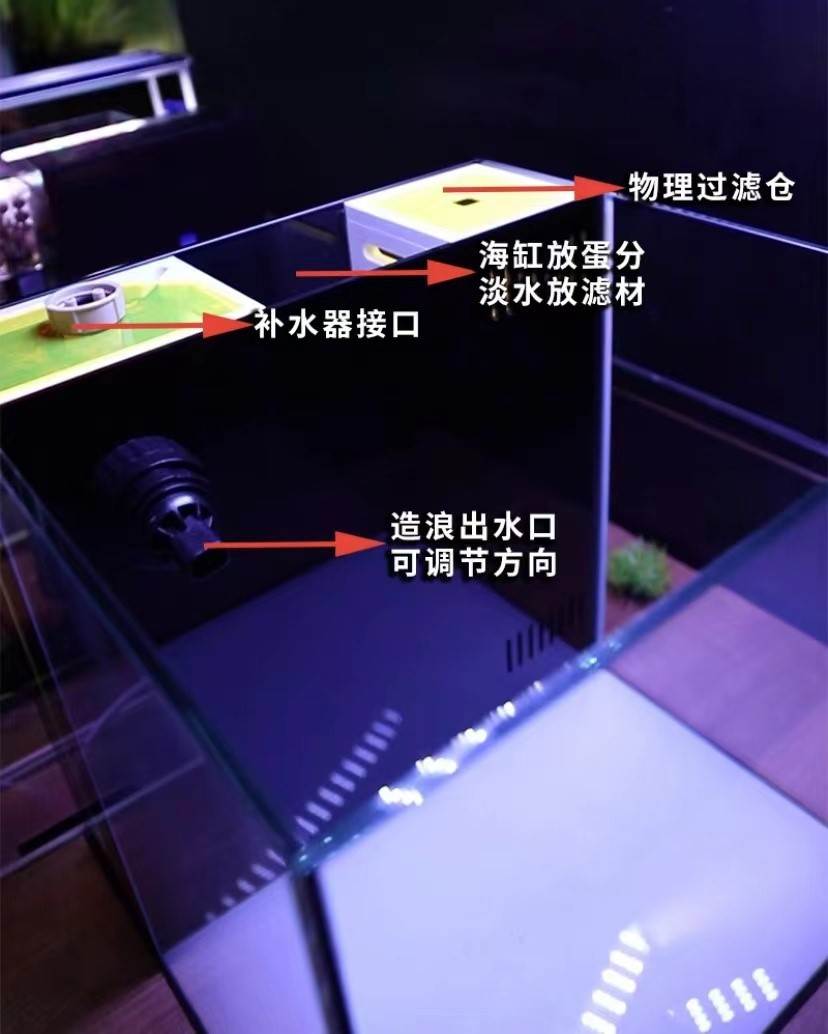 悠来游趣珊瑚缸淡海水通用水族箱桌面海缸背滤缸6mm五面金晶超白