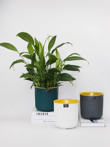 自动吸水简约树脂懒人花盆花盆大