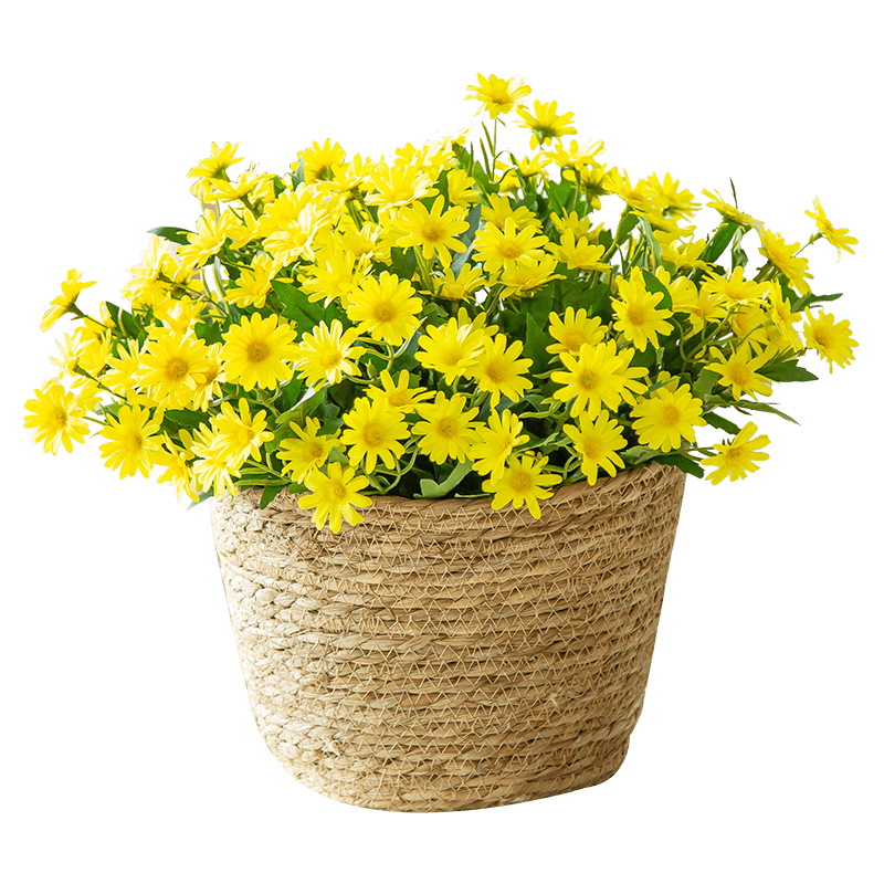 小雏菊仿真花野菊花小清新套装绢花餐桌假花花束装饰摆件拍照道具