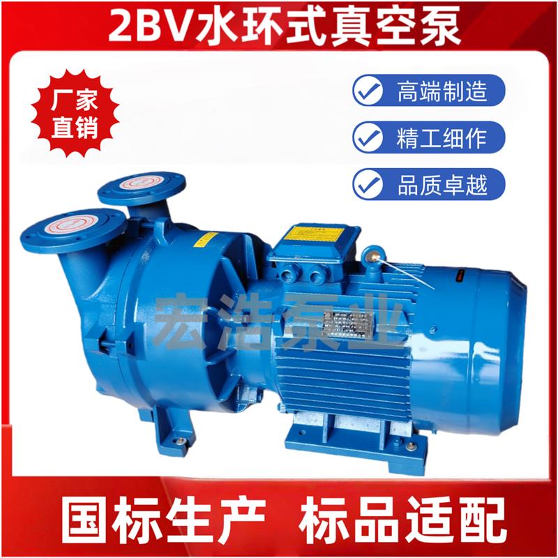 新款淄博2BV水环真空泵高真空水循环工业用泵无油负压泵全型包邮