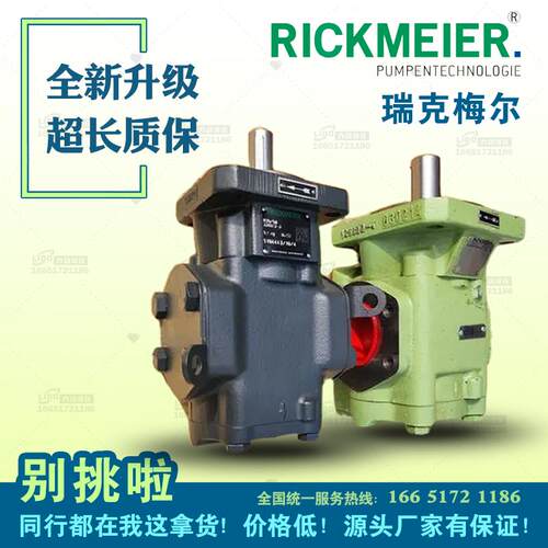 新款瑞克梅尔Rickmeier齿轮油泵R35/63 FL-Z-R-SO燃油分油机包邮