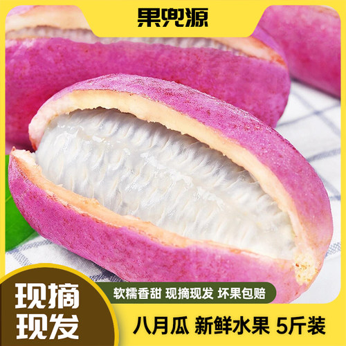 现摘新鲜八月瓜八月炸现货速发