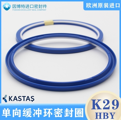进口KASTAS-K29缓冲环HBY密封圈