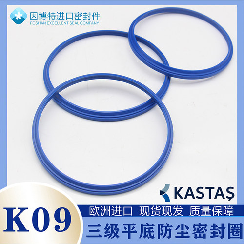 欧洲进口K09三级平底防尘密封圈