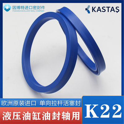 欧洲KASTAS进口K22液压油封轴用